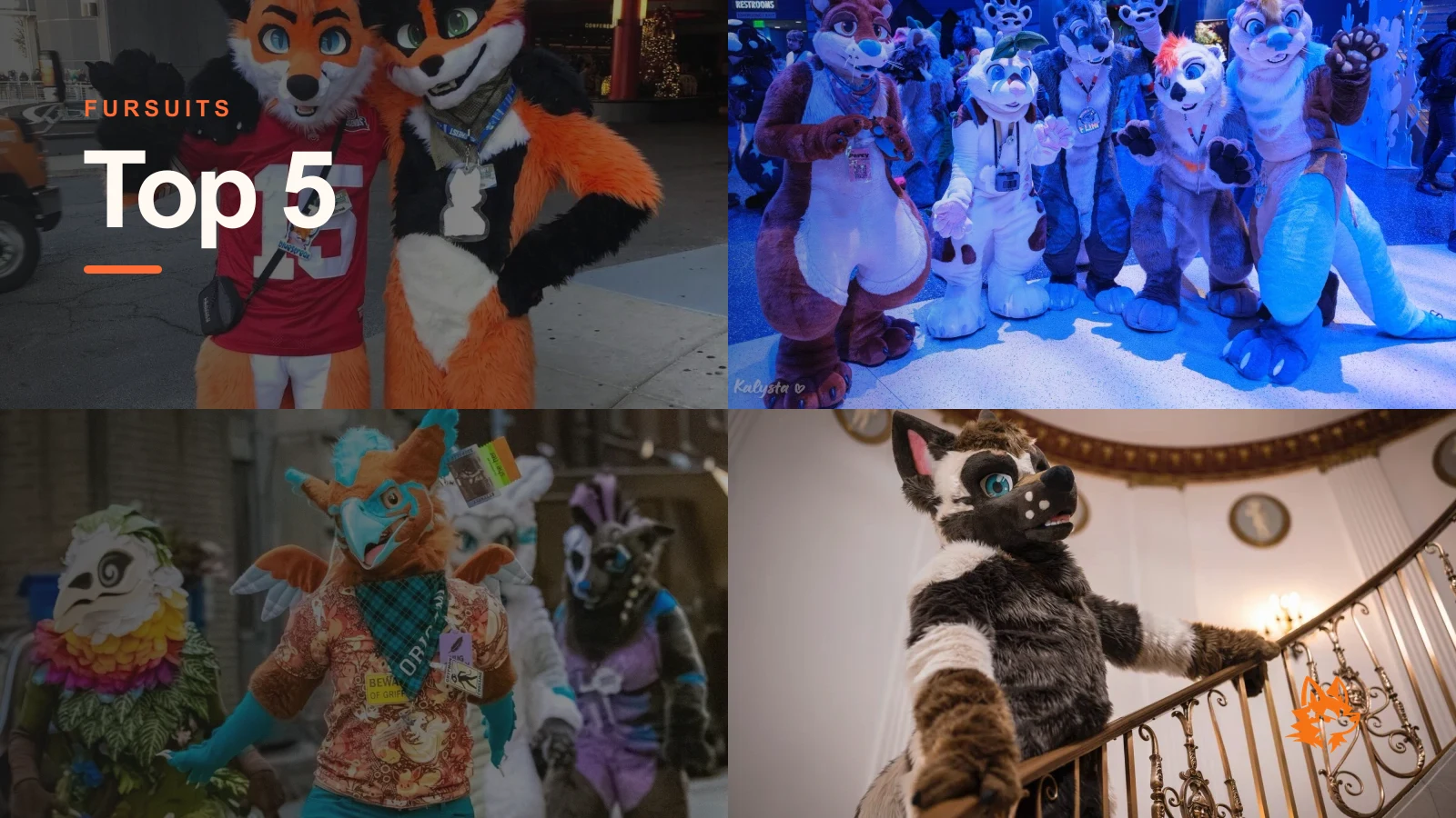 Best Fursuit Friendly Conventions 2026 - Lounges, Parades & Photos