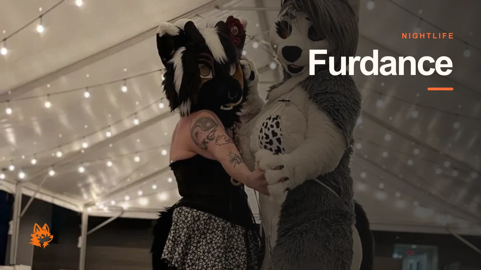 What Is a Furdance? Guide to Furry Dance Events in Europe
